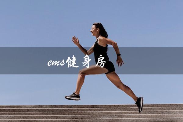 ems健身房（EMS健身房有用吗）
