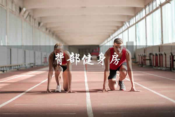 背部健身房（背部健身房器材怎么使用）