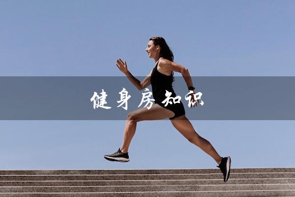 健身房知识（健身房知识产权是什么）