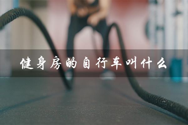 健身房的自行车叫什么（健身房自行车名字是什么）