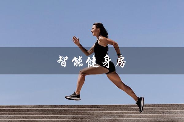 智能健身房（DOMIFIT智能健身房是什么）
