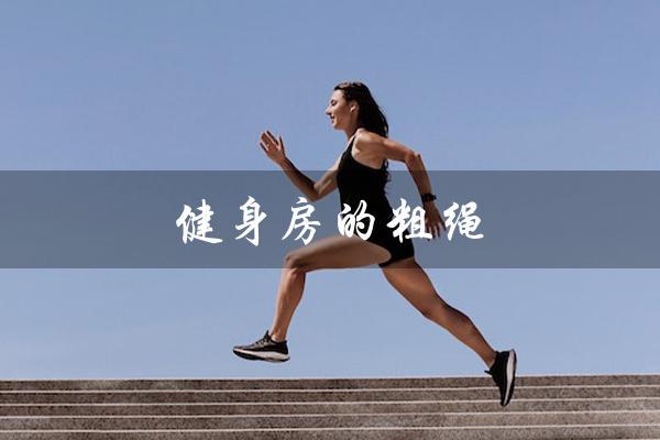 健身房的粗绳（健身房粗绳的作用是什么）