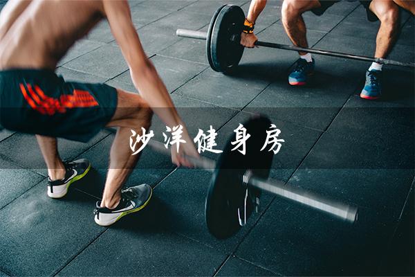 沙洋健身房（沙洋健身房值得推荐吗）